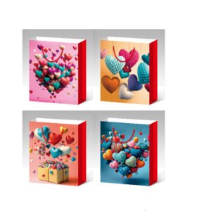 BOLSA DE REGALO 41.5*30*12CM