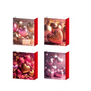 BOLSA DE REGALO 32*26*10CM