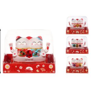 Gatos solares pareja cuadrada