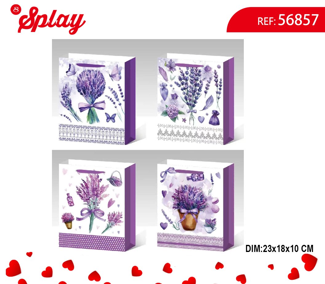 BOLSA DE REGALO 23*18*10CM