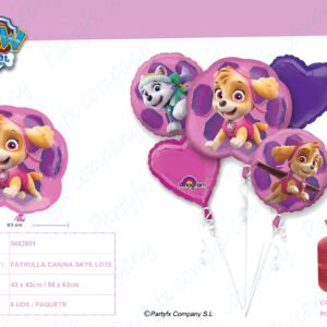 Paquete "Paw Patrol Skye & Everest" Globo foil